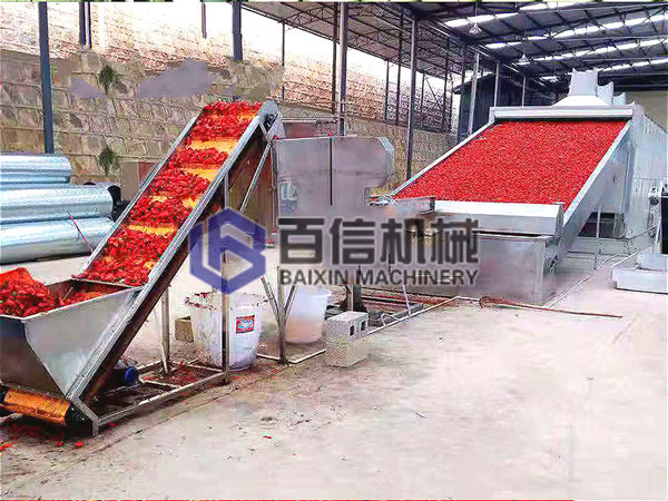 网带烘干机
