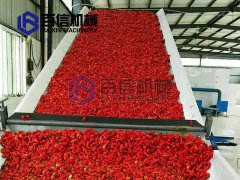 工业辣椒烘干机现场