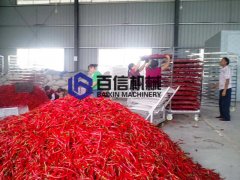 热泵辣椒烘干机现场