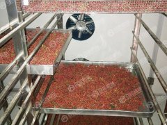 空气能花椒烘干现场