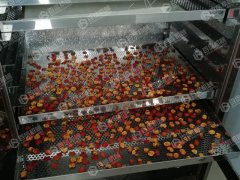空气能山楂片烘干现场