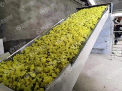 网带黄蜀葵花烘干现场