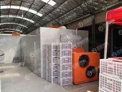 空气能辣椒烘干现场
