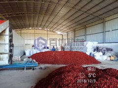 云南辣椒烘干现场