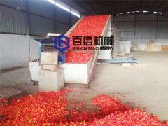 魔鬼椒烘干现场