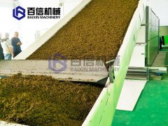 茶叶渣烘干现场